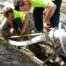 Is Trenchless Sewer Repair Effective? | T-Top Plumbing, Inc. - Los Angeles Area Plumber