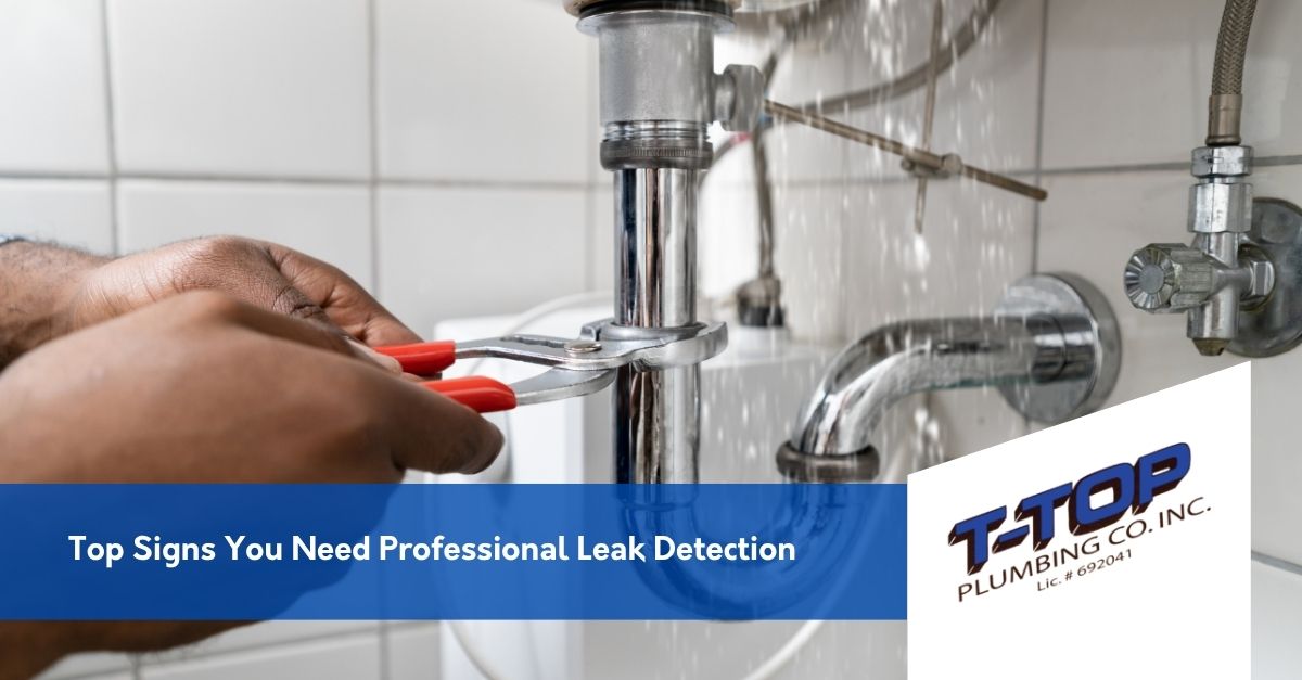 Top Signs You Need Professional Leak Detection