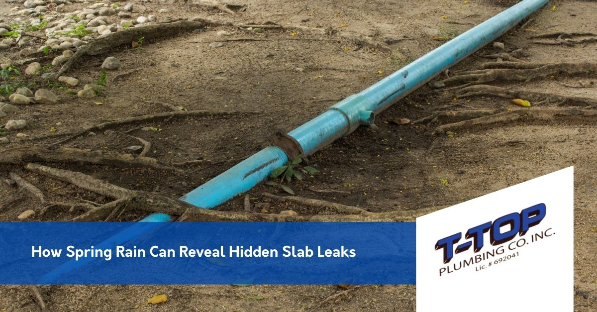 Root intrusion into pipe
